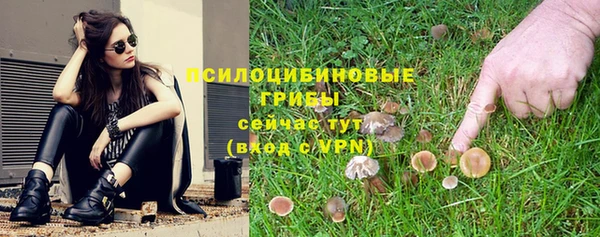 винт Бронницы