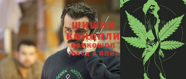 прущие грибы Бугульма