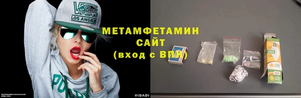 прущие грибы Снежногорск